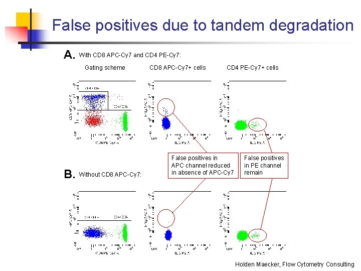 False positives due to tandem degradation A. With CD 8 APC-Cy 7 and CD