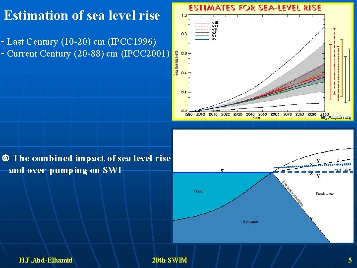 Estimation of sea level rise - Last Century (10 -20) cm (IPCC 1996) -
