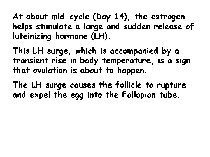 At about mid-cycle (Day 14), the estrogen helps stimulate a large and sudden release At about mid-cycle (Day 14), the estrogen helps stimulate a large and sudden release