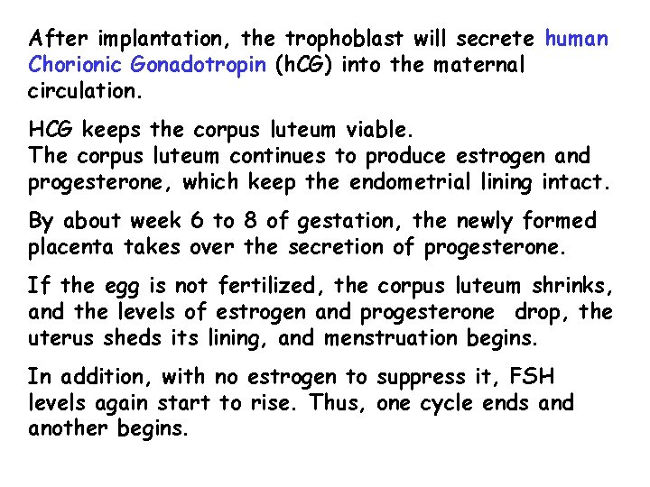 After implantation, the trophoblast will secrete human Chorionic Gonadotropin (h. CG) into the maternal After implantation, the trophoblast will secrete human Chorionic Gonadotropin (h. CG) into the maternal