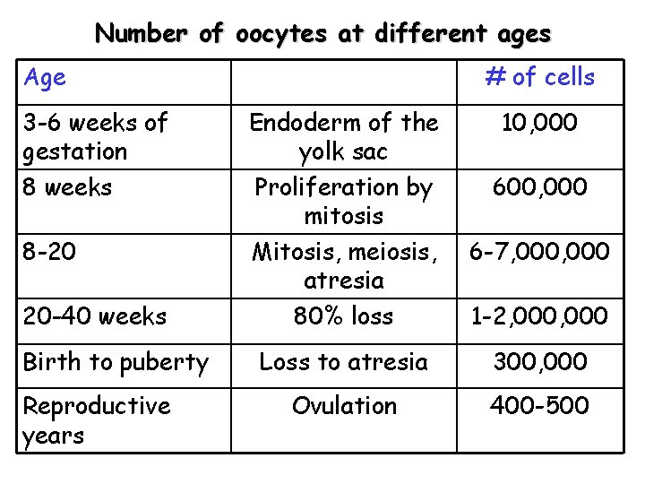 Number of oocytes at different ages Age 3 -6 weeks of gestation 8 weeks Number of oocytes at different ages Age 3 -6 weeks of gestation 8 weeks