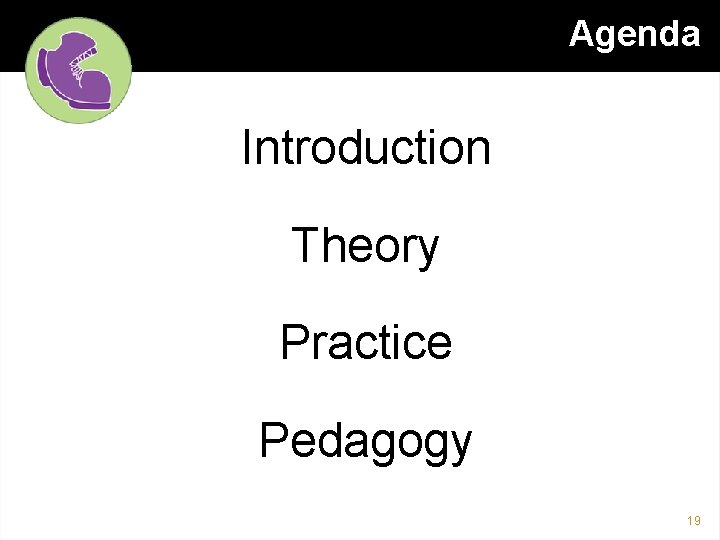 Agenda Introduction Theory Practice Pedagogy 19 