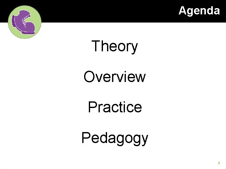 Agenda Theory Overview Practice Pedagogy 4 