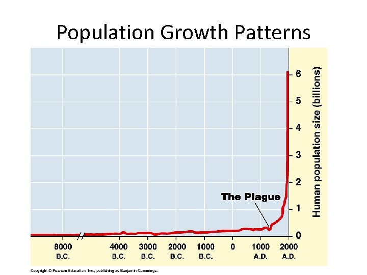 Population Growth Patterns 