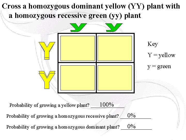 Cross a homozygous dominant yellow (YY) plant with a homozygous recessive green (yy) plant Cross a homozygous dominant yellow (YY) plant with a homozygous recessive green (yy) plant