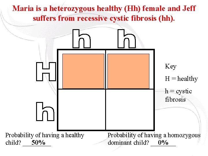 Maria is a heterozygous healthy (Hh) female and Jeff suffers from recessive cystic fibrosis