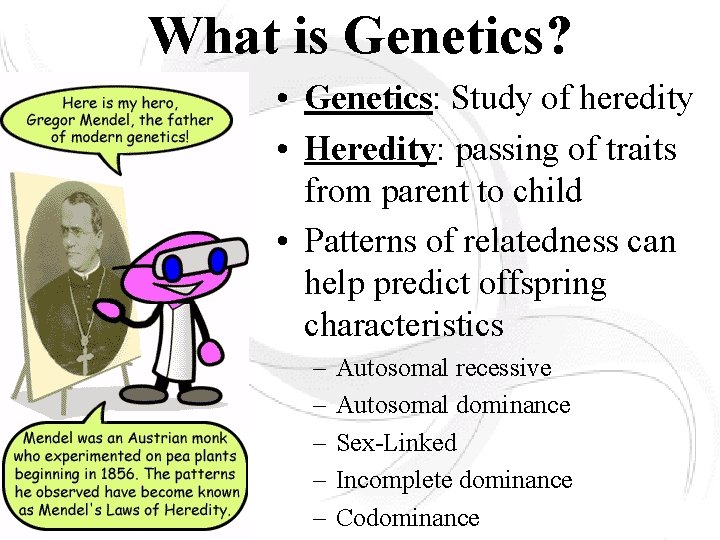 What is Genetics? • Genetics: Study of heredity • Heredity: passing of traits from