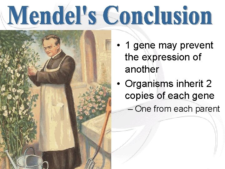  • 1 gene may prevent the expression of another • Organisms inherit 2