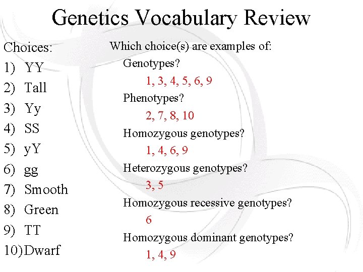 Genetics Vocabulary Review Choices: 1) YY 2) Tall 3) Yy 4) SS 5) y. Genetics Vocabulary Review Choices: 1) YY 2) Tall 3) Yy 4) SS 5) y.