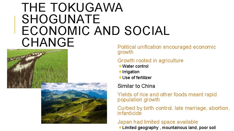 THE TOKUGAWA SHOGUNATE ECONOMIC AND SOCIAL CHANGE Political unification encouraged economic growth Growth rooted