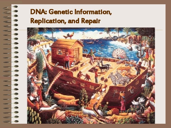 DNA: Genetic Information, Replication, and Repair 