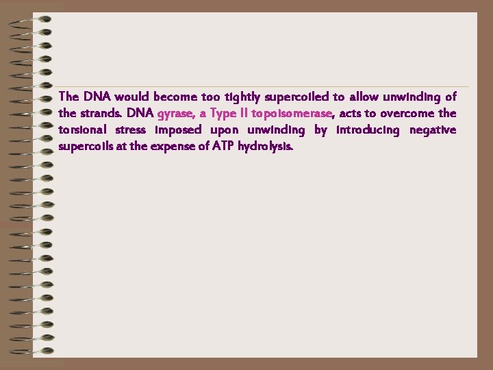 The DNA would become too tightly supercoiled to allow unwinding of the strands. DNA