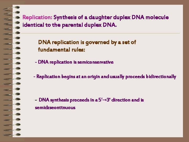 Replication: Synthesis of a daughter duplex DNA molecule identical to the parental duplex DNA