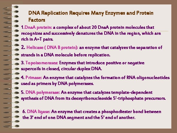 DNA Replication Requires Many Enzymes and Protein Factors 1. Dna. A protein: a complex