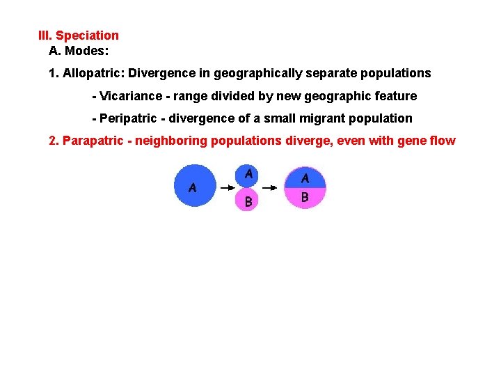 III. Speciation A. Modes: 1. Allopatric: Divergence in geographically separate populations - Vicariance -