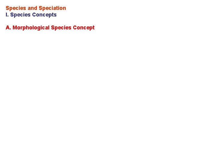 Species and Speciation I. Species Concepts A. Morphological Species Concept 