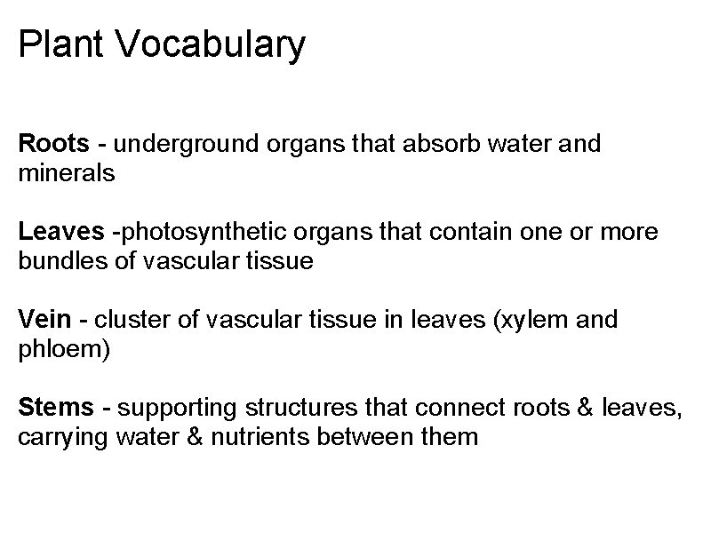 Plant Vocabulary Roots - underground organs that absorb water and minerals Leaves -photosynthetic organs