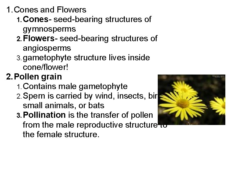 1. Cones and Flowers 1. Cones- seed-bearing structures of gymnosperms 2. Flowers- seed-bearing structures