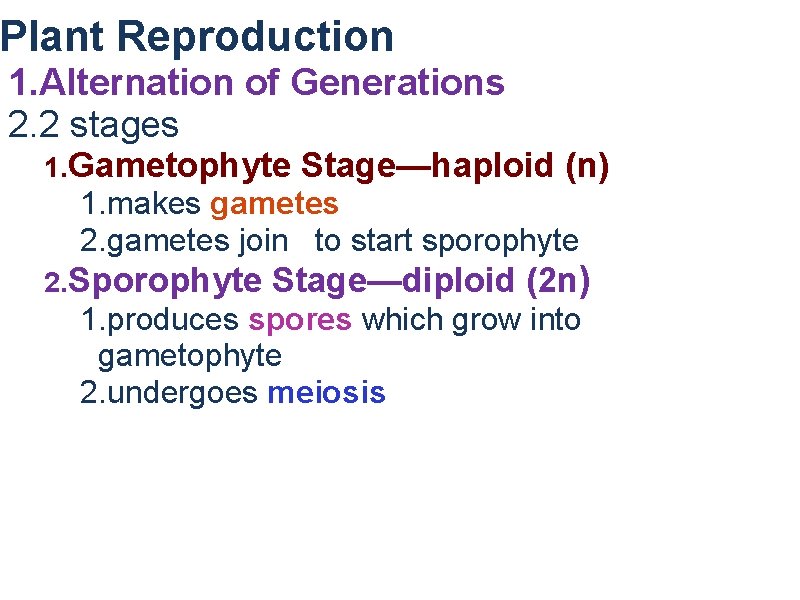 Plant Reproduction 1. Alternation of Generations 2. 2 stages 1. Gametophyte Stage—haploid (n) 1.