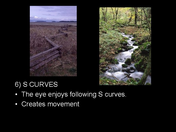 6) S CURVES • The eye enjoys following S curves. • Creates movement 