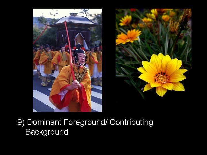 9) Dominant Foreground/ Contributing Background 