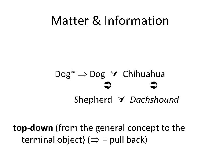 Matter & Information Dog* Dog Chihuahua Shepherd Dachshound top-down (from the general concept to