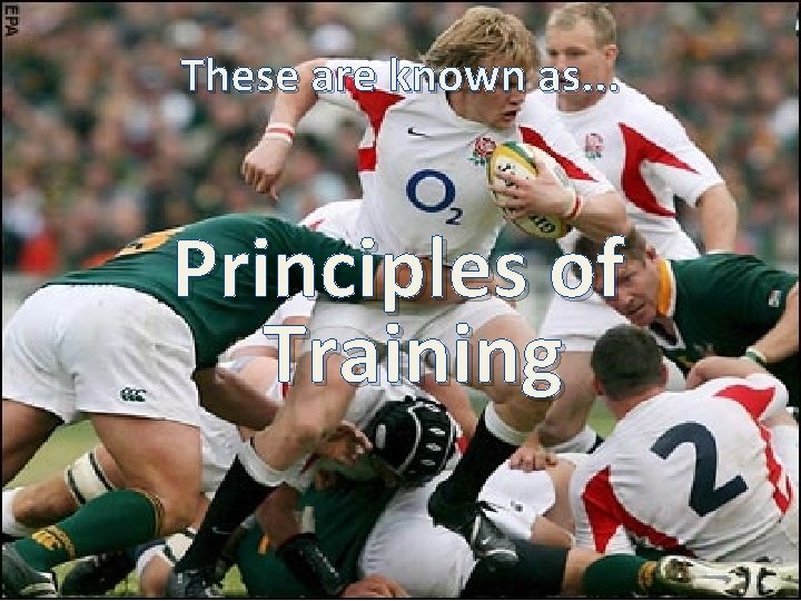 These are known as. . . Principles of Training 