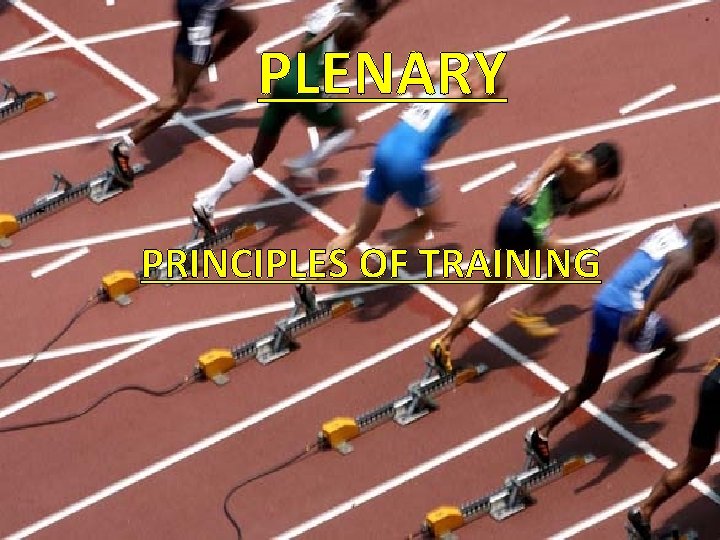 PLENARY - PRINCIPLES OF TRAINING 