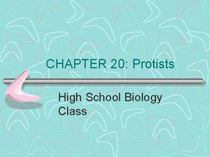 CHAPTER 20: Protists High School Biology Class 