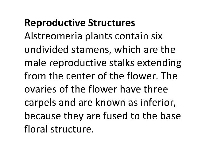 Reproductive Structures Alstreomeria plants contain six undivided stamens, which are the male reproductive stalks