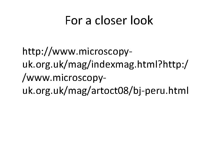 For a closer look http: //www. microscopyuk. org. uk/mag/indexmag. html? http: / /www. microscopyuk.