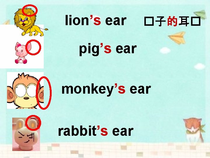 lion’s ear �子的耳� pig’s ear monkey’s ear rabbit’s ear 