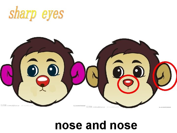 nose and nose 