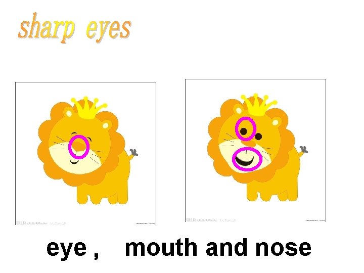 eye ， mouth and nose 
