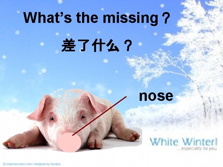 What’s the missing？ 差了什么？ nose 