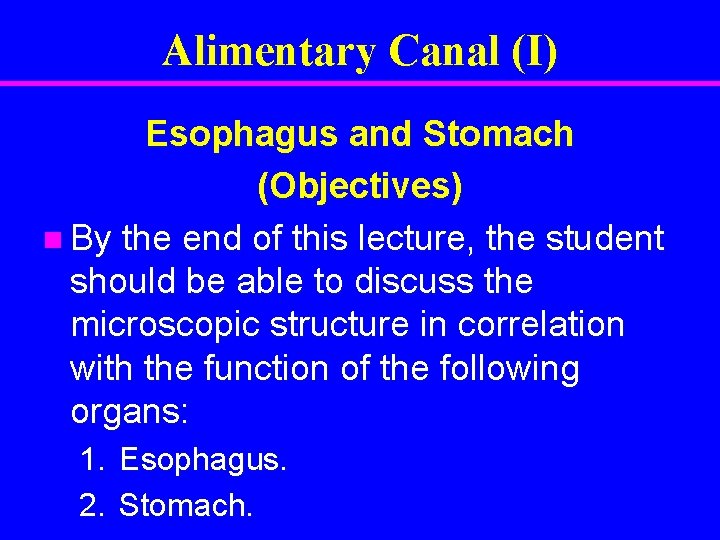 Alimentary Canal (I) Esophagus and Stomach (Objectives) n By the end of this lecture,