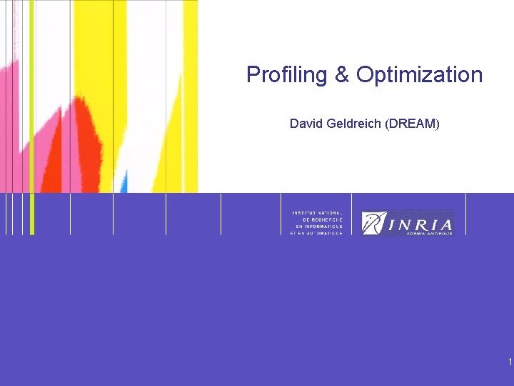 1 Profiling & Optimization David Geldreich (DREAM) 1 