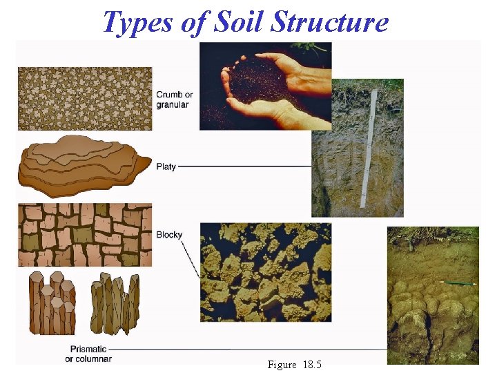 Types of Soil Structure Figure 18. 5 