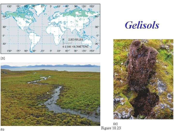 Gelisols Figure 18. 23 