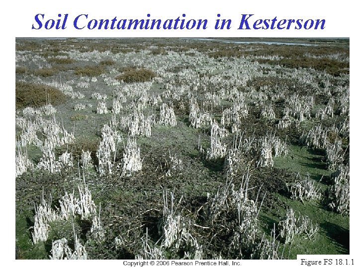 Soil Contamination in Kesterson Figure FS 18. 1. 1 