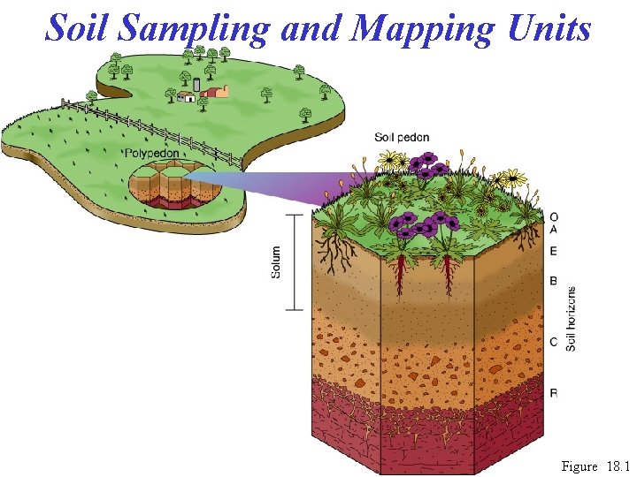 Soil Sampling and Mapping Units Figure 18. 1 