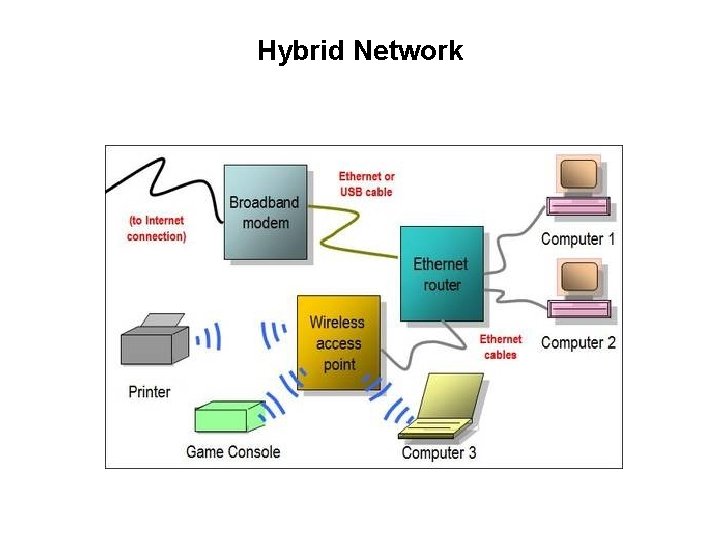 Hybrid Network 