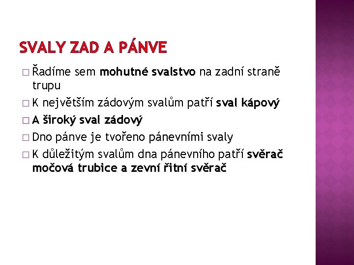 SVALY ZAD A PÁNVE � Řadíme sem mohutné svalstvo na zadní straně trupu �