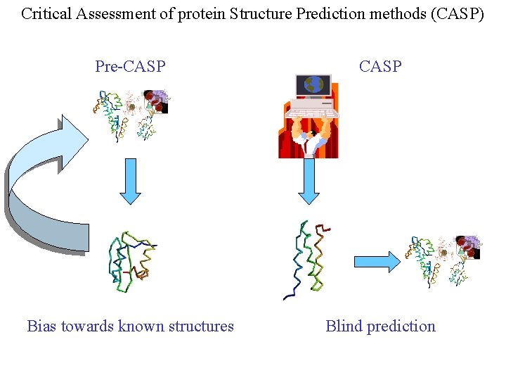 Critical Assessment of protein Structure Prediction methods (CASP) Pre-CASP Bias towards known structures Blind