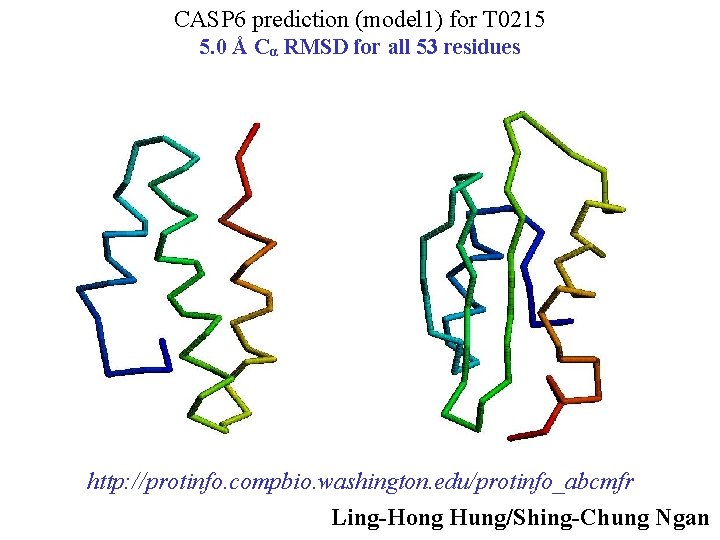 CASP 6 prediction (model 1) for T 0215 5. 0 Å Cα RMSD for