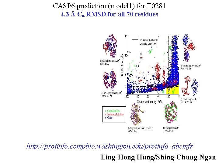 CASP 6 prediction (model 1) for T 0281 4. 3 Å Cα RMSD for
