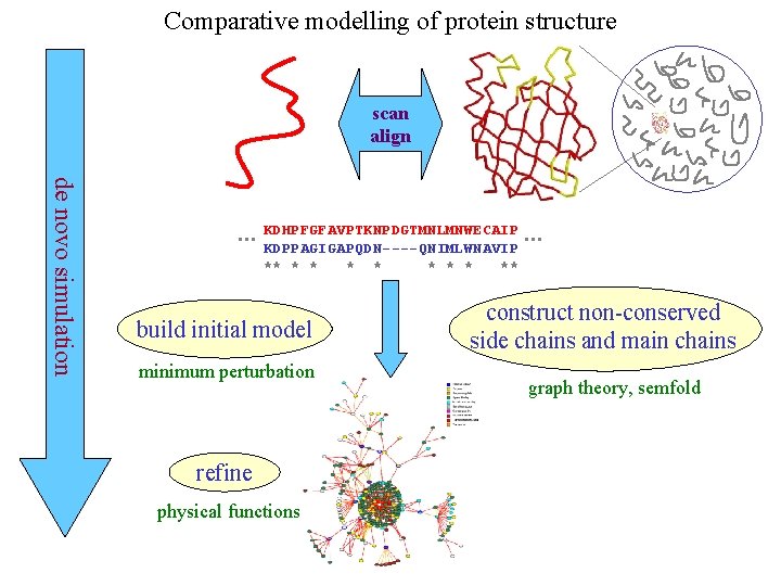 Comparative modelling of protein structure scan align de novo simulation … KDHPFGFAVPTKNPDGTMNLMNWECAIP KDPPAGIGAPQDN----QNIMLWNAVIP **