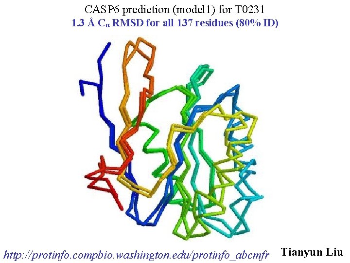 CASP 6 prediction (model 1) for T 0231 1. 3 Å Cα RMSD for
