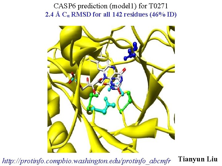 CASP 6 prediction (model 1) for T 0271 2. 4 Å Cα RMSD for