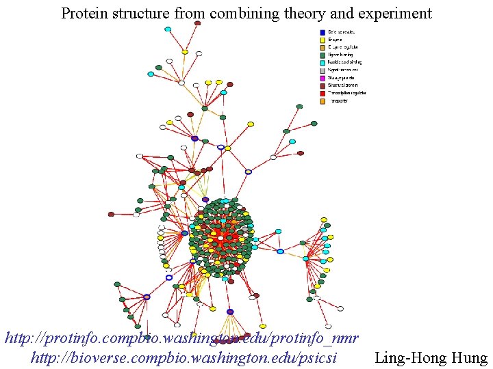 Protein structure from combining theory and experiment http: //protinfo. compbio. washington. edu/protinfo_nmr Ling-Hong Hung